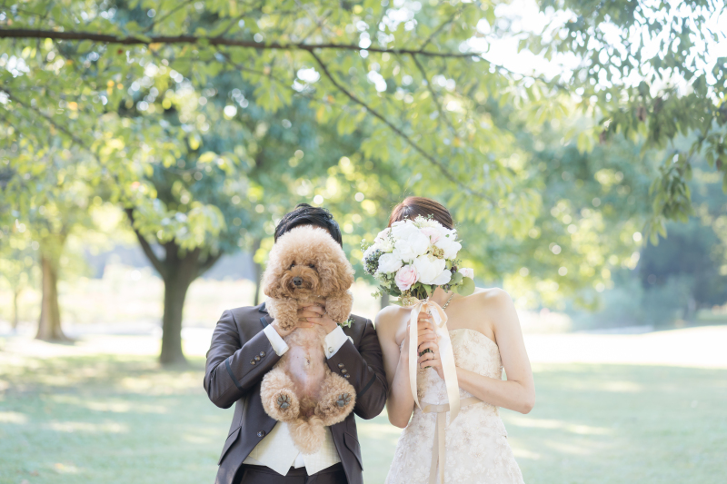 MaiBRIDE天白_ペットと一緒に撮影できる