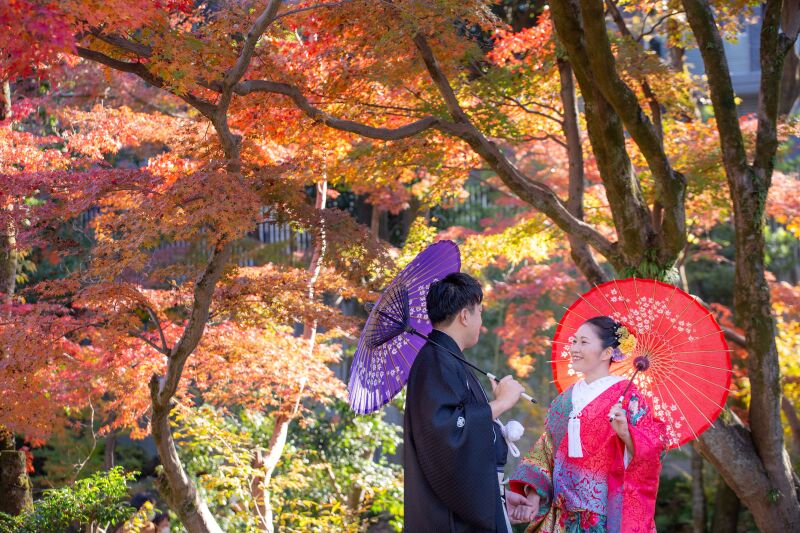 人気の桜・新緑・紅葉枠の庭園ロケもご提案いたします