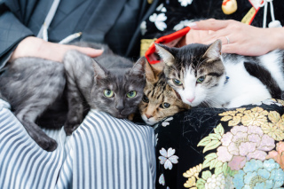 MaiBRIDE天白_【洋和】ファミリーフォトウェディング