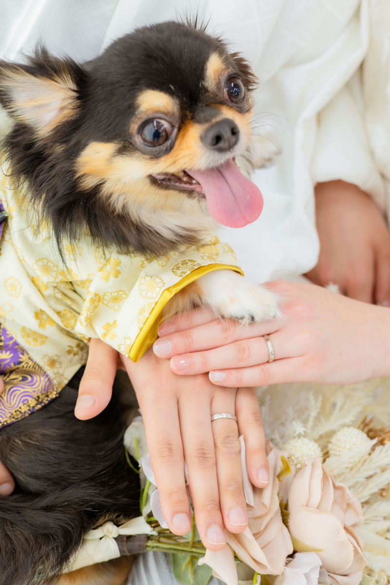 【ペット撮影応援! 全データプラン】大好きなペットと一緒にフォトウェディングが叶う!