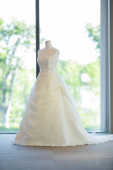 Mt　LLD-0023101　WH