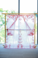 カレント　ポピーピンク