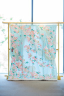 ブルー縮緬流水枝垂れ桜