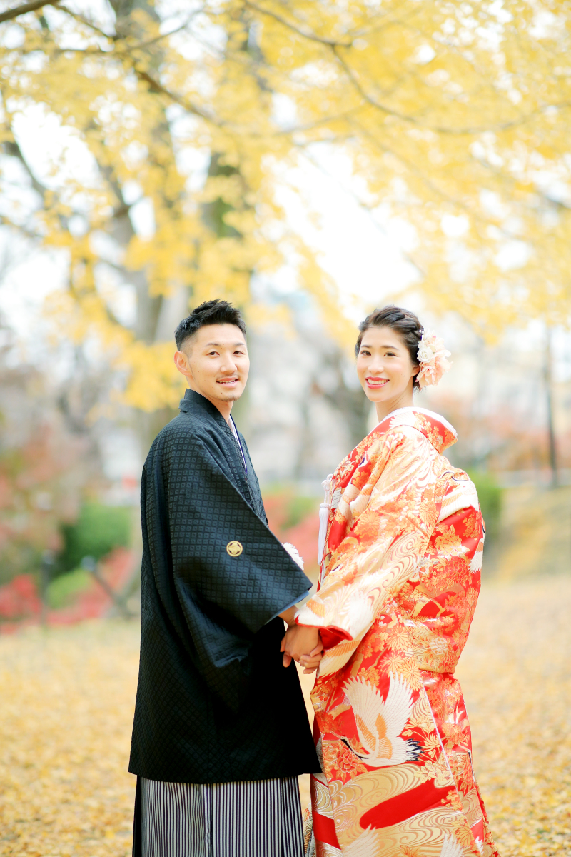 イチョウの絨毯