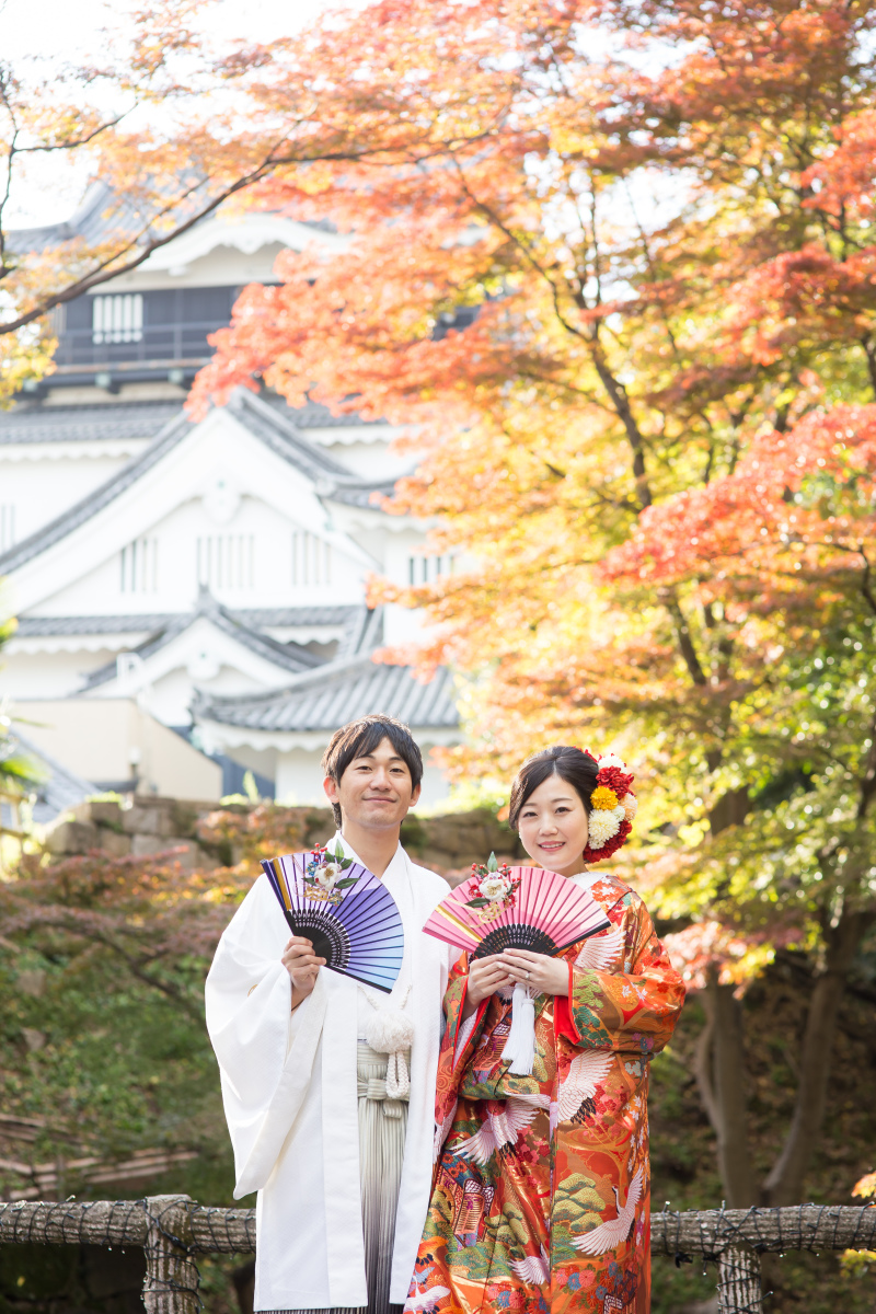 岡崎城を背景に