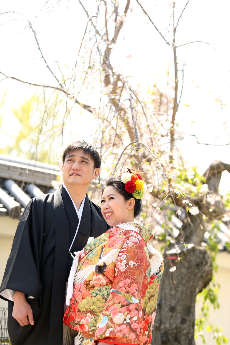 桜と撮れます♡