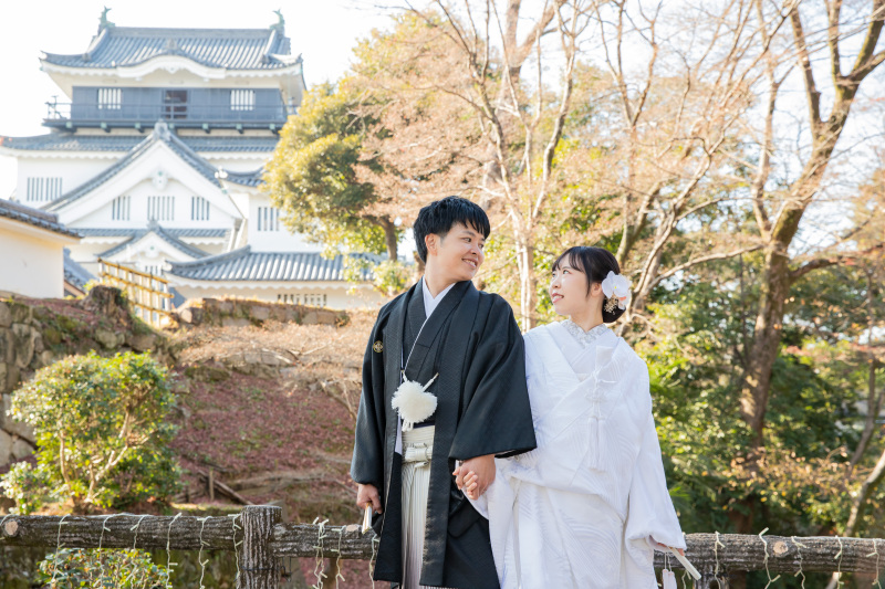 岡崎城を背景に