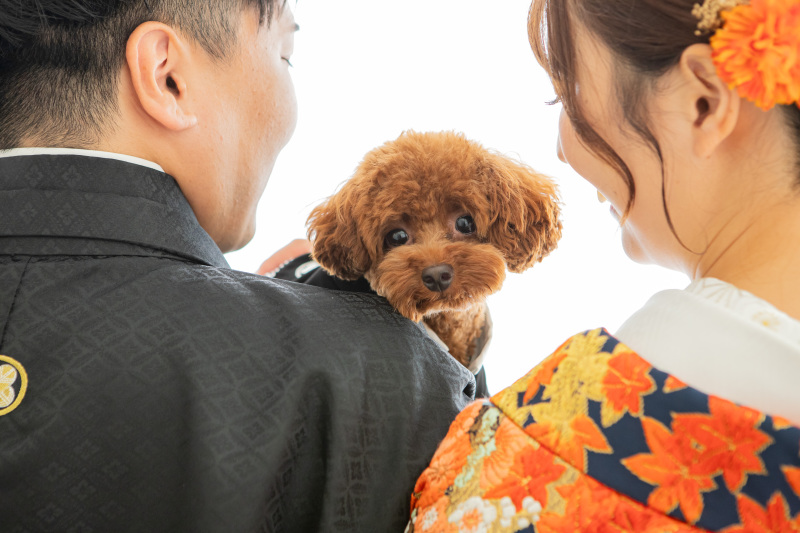 しっかりカメラ目線♡