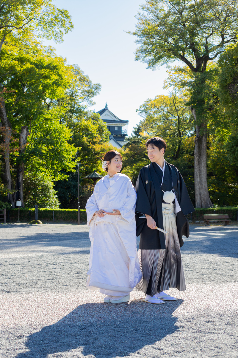 岡崎城を背景に