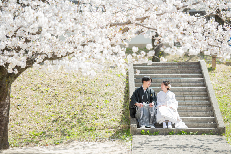 満開の桜の下で