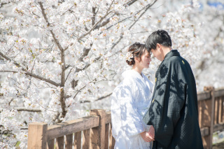 MaiBRIDE　岡崎光ヶ丘_ロケーション岡崎公園