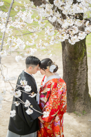 MaiBRIDE　岡崎光ヶ丘_ロケーション岡崎公園