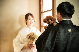 MaiBRIDE 岡崎光ヶ丘_スタジオ和装