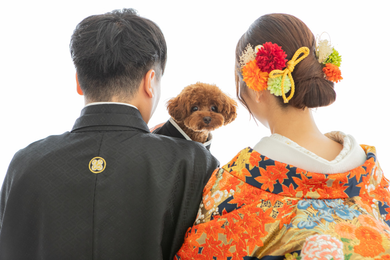 ペットとスタジオ撮影安心パック