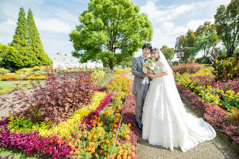 全データ+アルバム付き◇デンパークロケーション