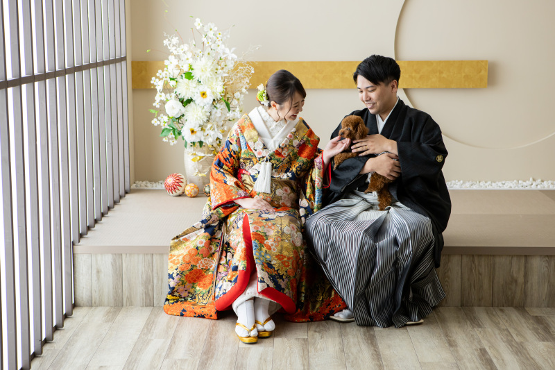 ペットとスタジオ撮影安心パック