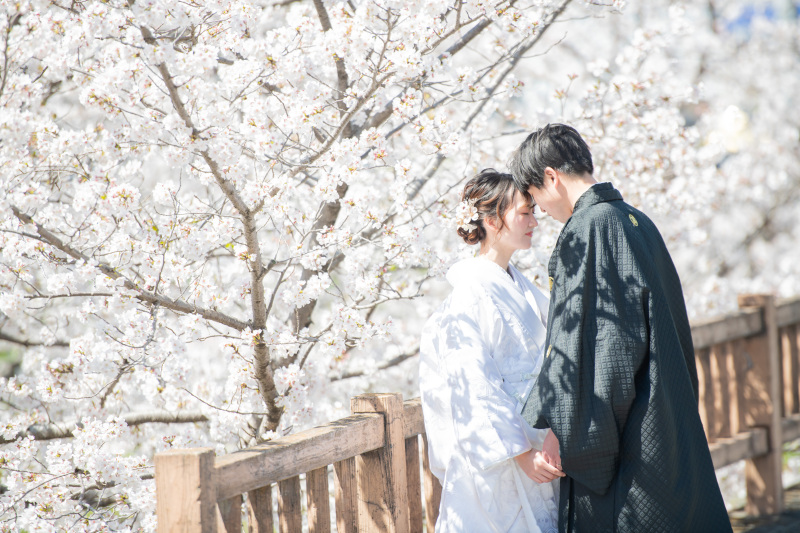 【1日で叶う♪】◇岡崎城公園＆スタジオ撮影プラン◇全データ＋アルバム付