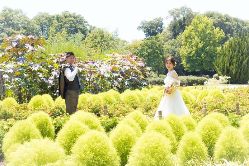 コキアが咲き乱れるイングリッシュガーデン