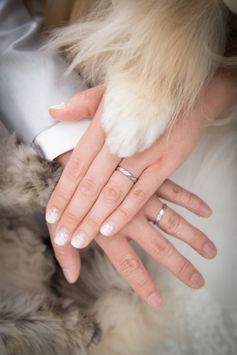 これからも家族みんな一緒♡