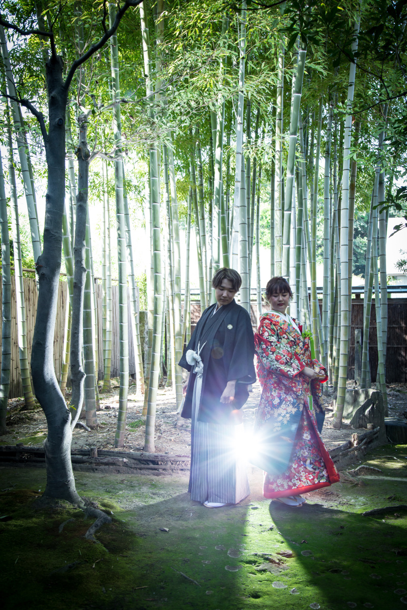 尾西歴史民俗資料館に竹林！？