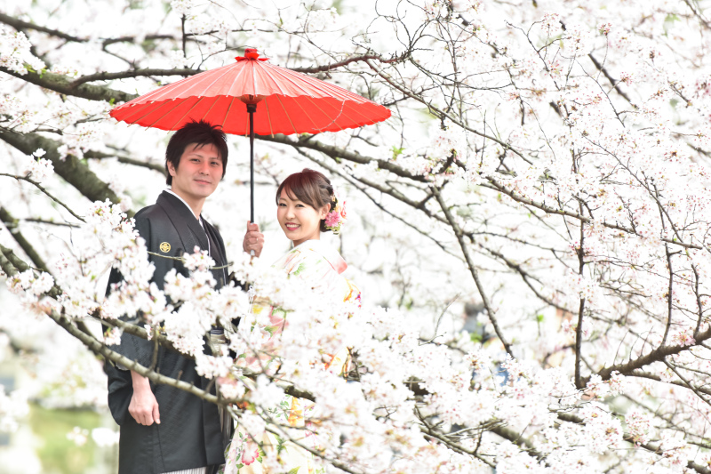 満開の桜に囲まれたお二人