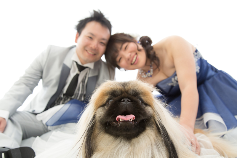 ひょっこりはん♡