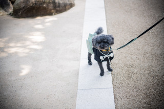 一日でロケ地2箇所!?洋和ロケーション撮影