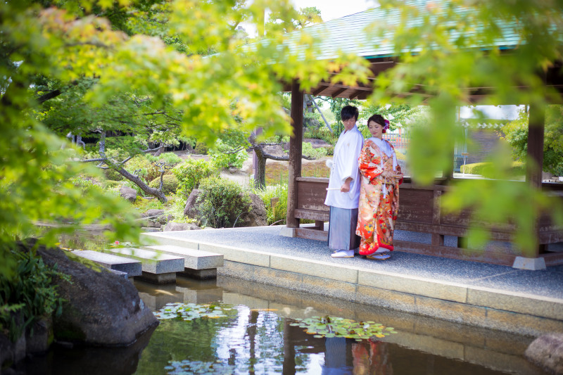 庭園ならでは！優雅に泳ぐ鯉