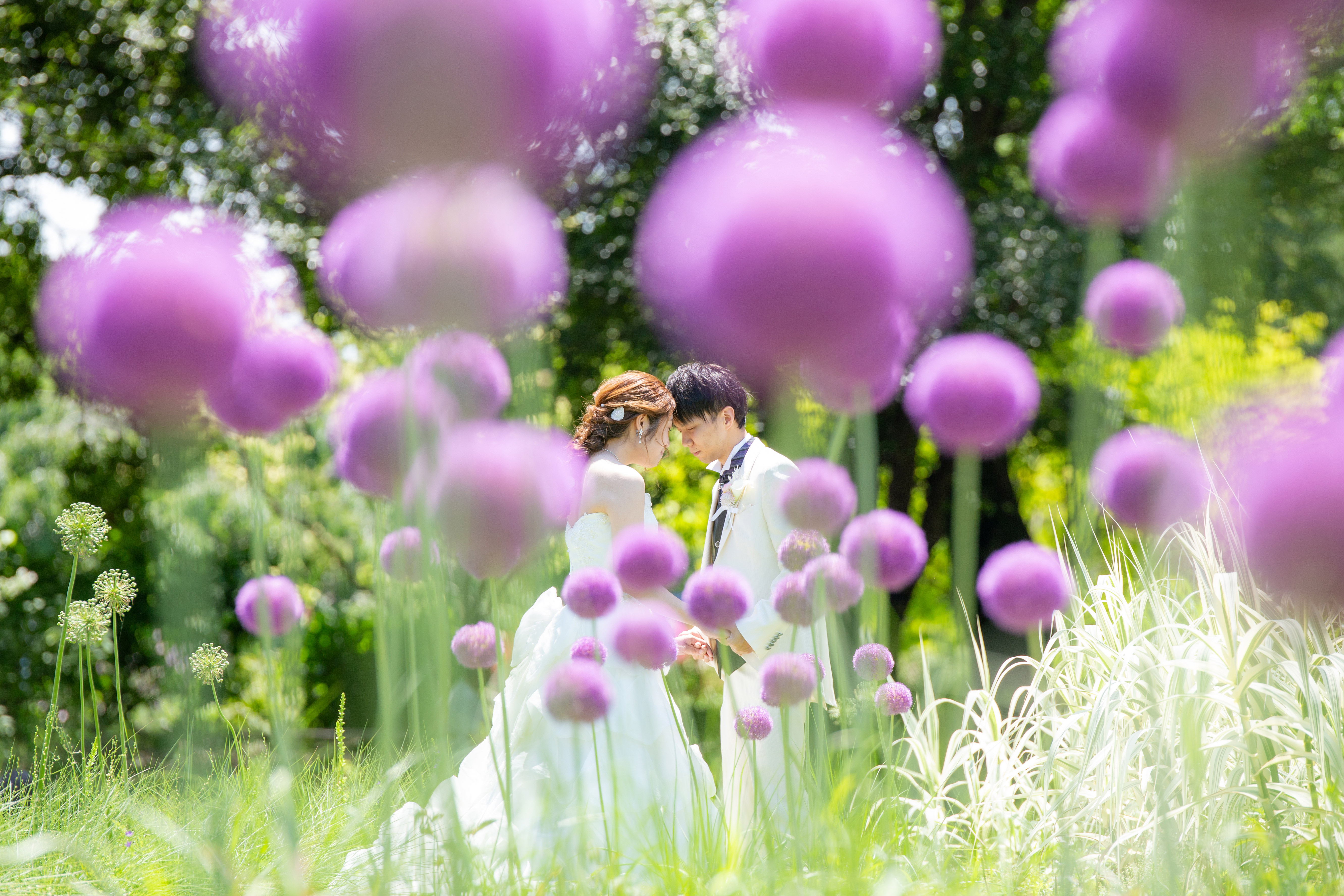 写真 人生最高の”今”を、美しく