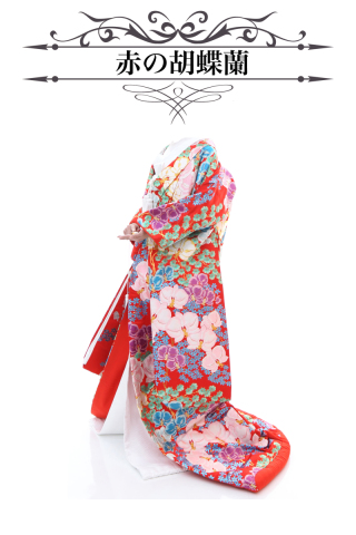赤の胡蝶蘭