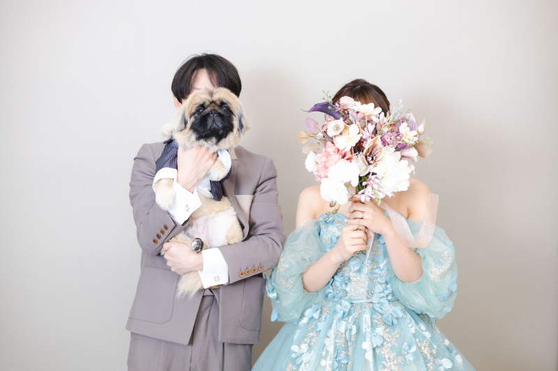 スタジオ　洋装ペット撮影