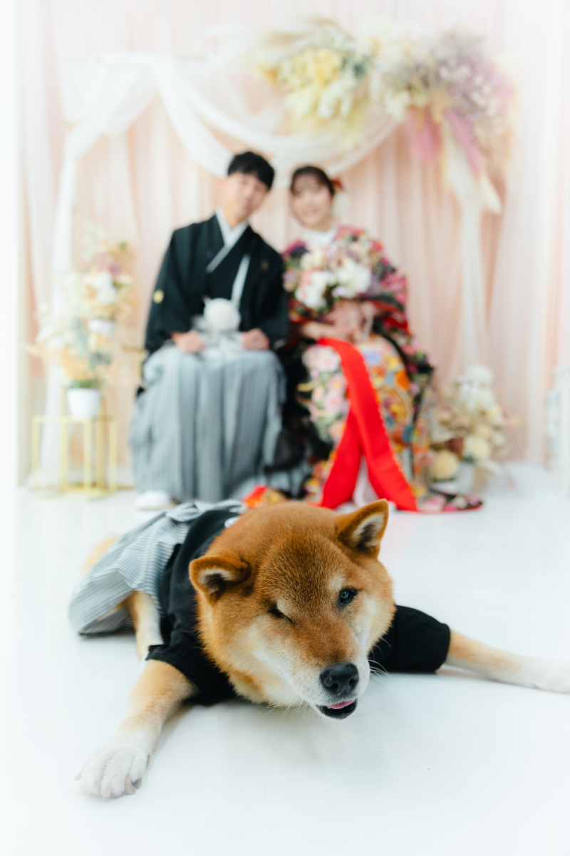 2枚目
