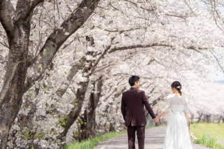 洋装ロケ　庄内緑地公園+桜並木