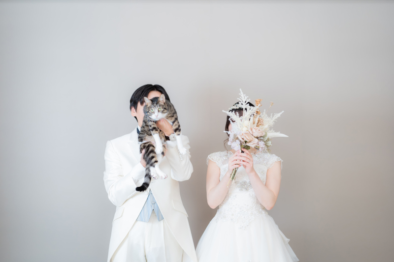 スタジオ 洋装ペット撮影