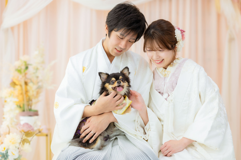 MaiBRIDE 春日井_ペットと一緒に撮影できる