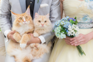 MaiBRIDE　春日井