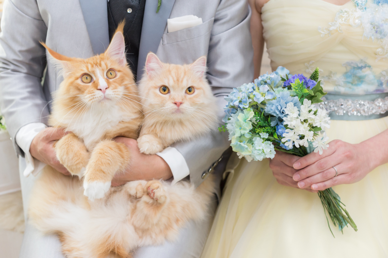 MaiBRIDE 春日井_ペットと一緒に撮影できる