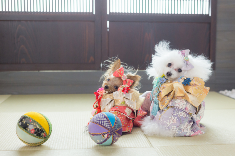 一緒におめかしして撮影