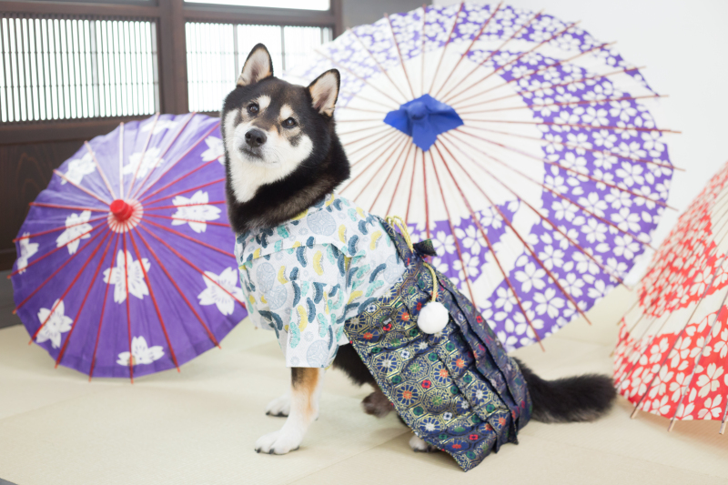 完全貸し切りスタジオだから安心