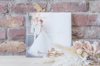 ボードライト20p20c