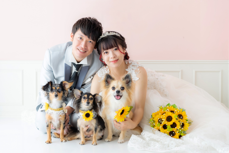 MaiBRIDE 春日井_ペットと一緒に撮影できる