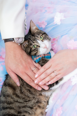 MaiBRIDE　春日井_スタジオ洋和①ペット撮影