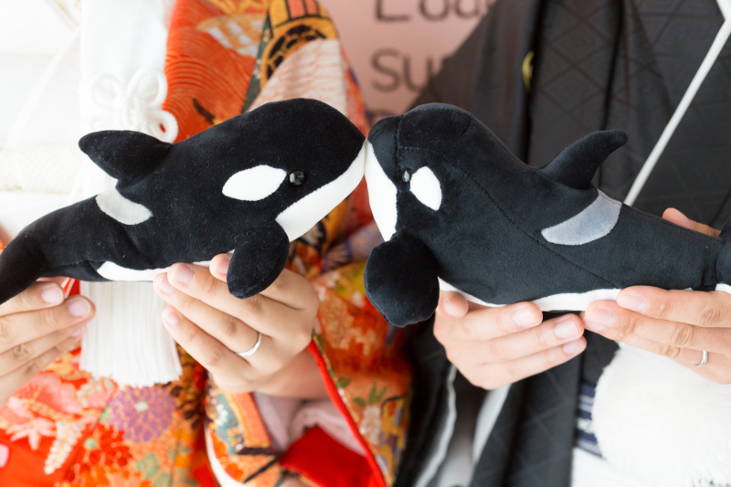 スタジオ☆和装