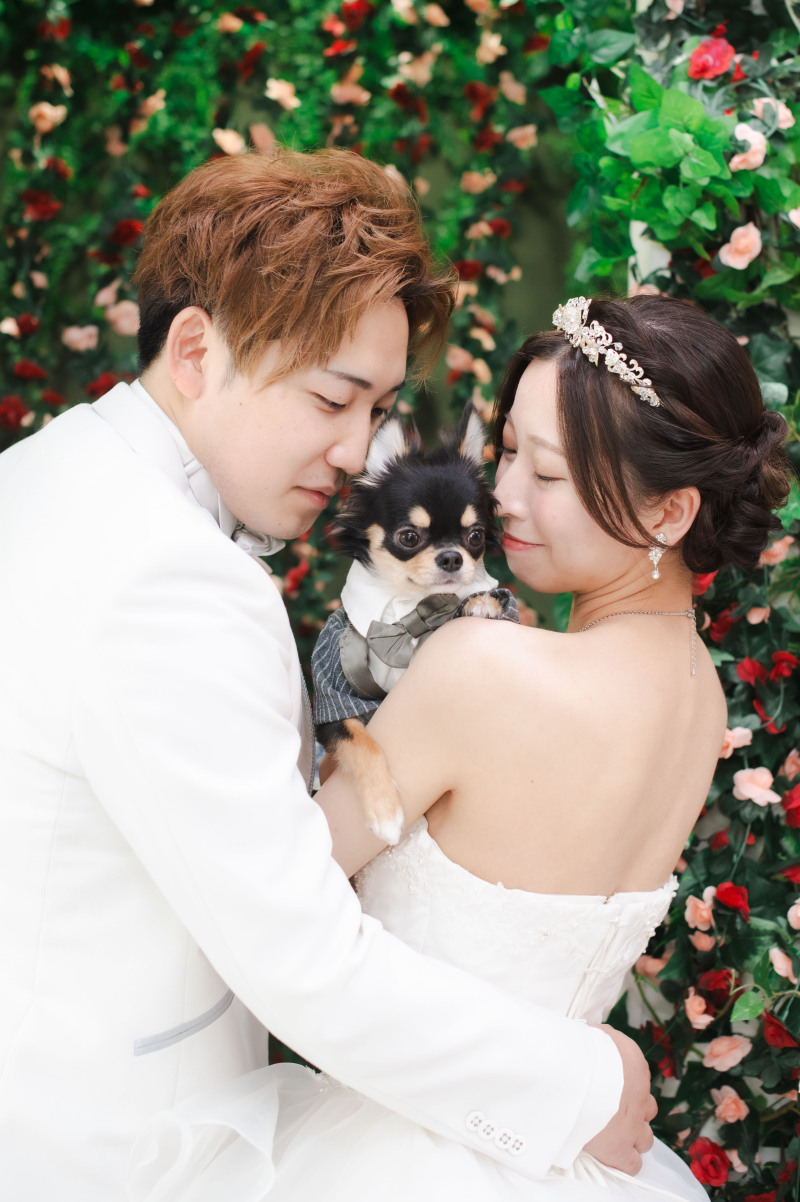 MaiBRIDE 春日井_ペットと一緒に撮影できる