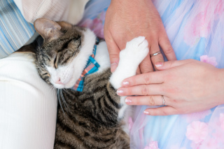 MaiBRIDE　春日井_スタジオ洋和①ペット撮影