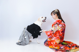 MaiBRIDE　春日井_おすすめシーン