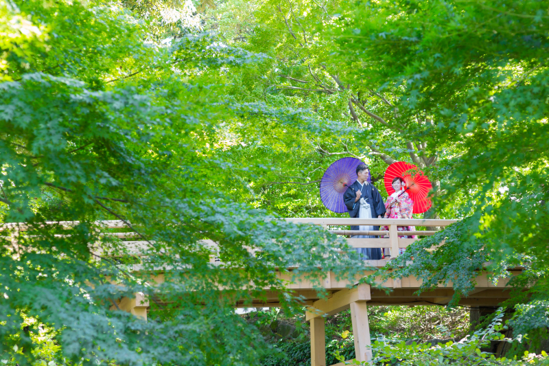 【徳川園ロケ和装プラン】全データ付き