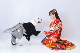 全データ+アルバム+ペットの安心補償付き