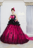 Kr MB14D-BB0137 PK/BK