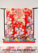 赤地八重桜紫陽花